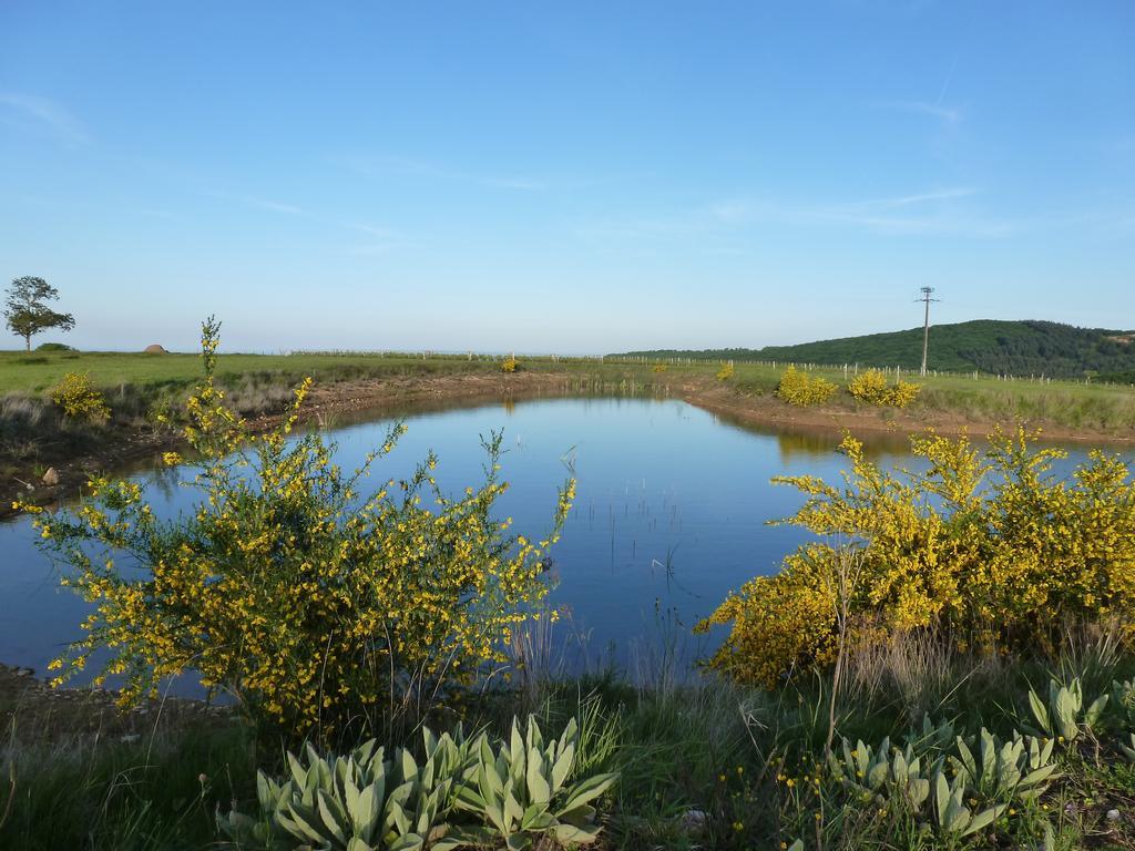 Domaine Joseph Lafarge Wine Resort Oeno-Tonneaux Experience Lugny Екстериор снимка